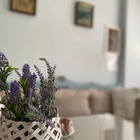 Apartment Patra's Andros Town